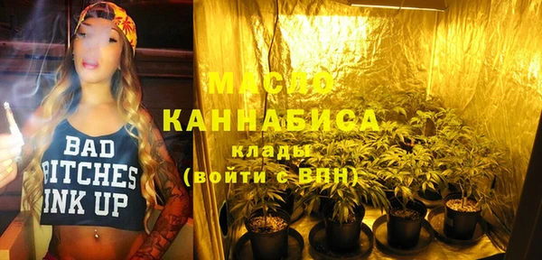 ECSTASY Пересвет