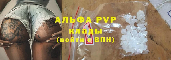 кокс Белокуриха