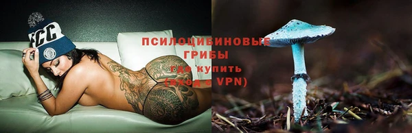 ECSTASY Пересвет